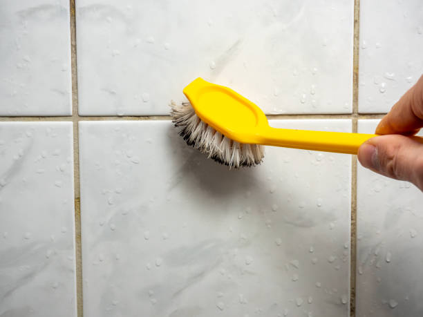 Best Professional Mold Removal  in Cowpens, SC