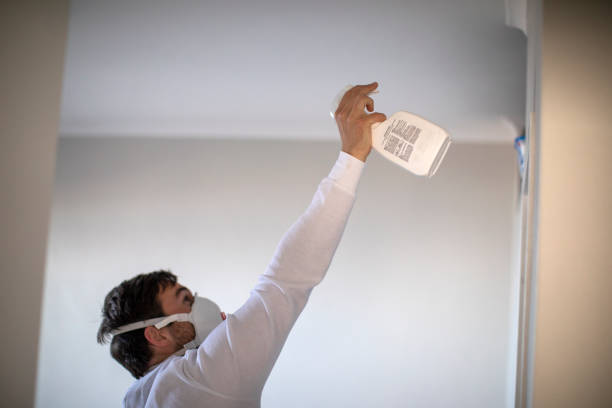 Best Crawl Space Mold Removal  in Cowpens, SC